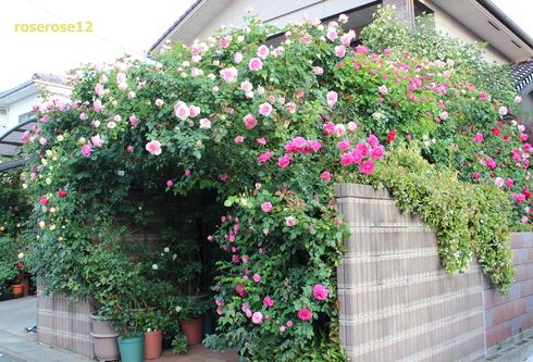 a0249051_028537.jpg