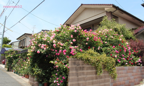 a0249051_047441.jpg