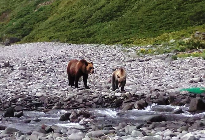 b0237260_15481659.jpg