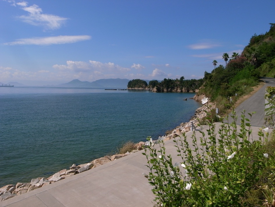 f0134963_9253892.jpg