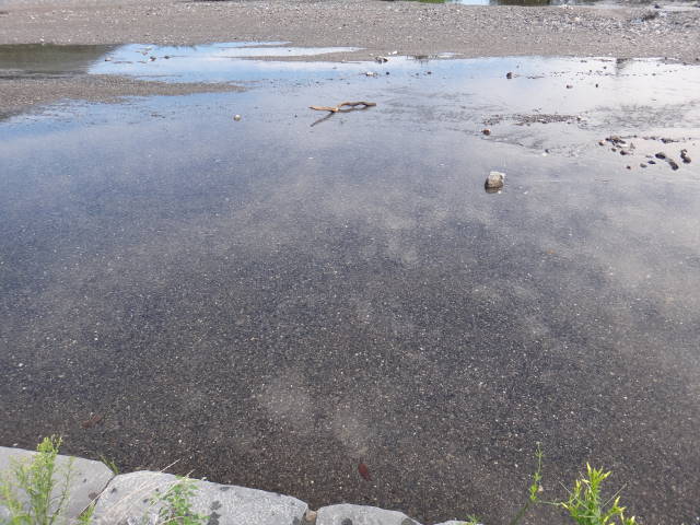 c0155364_011336.jpg
