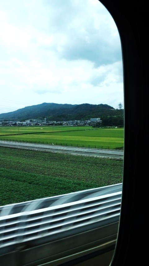 d0151373_11464946.jpg