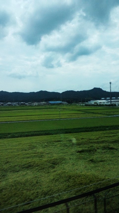 d0151373_1147040.jpg