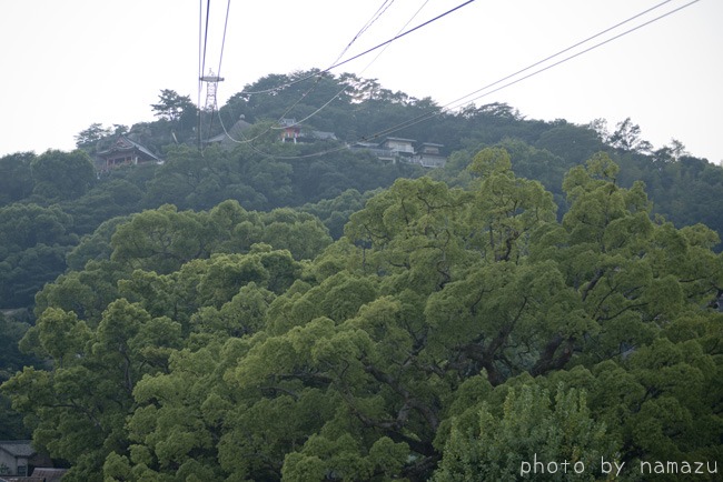 b0280176_21171189.jpg