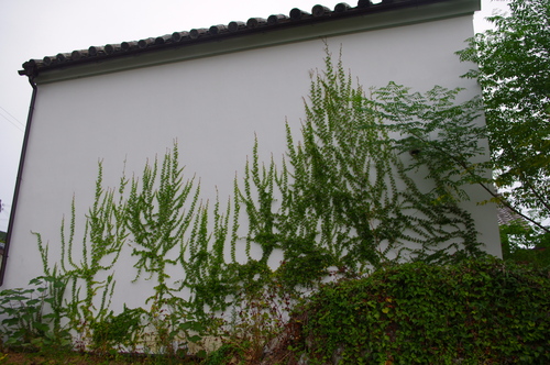 f0054677_64653.jpg