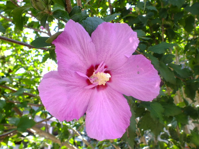 e0145782_1831221.jpg