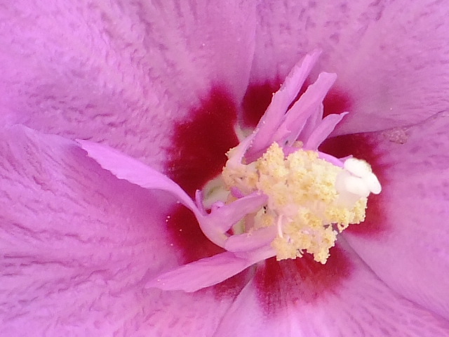 e0145782_1832862.jpg