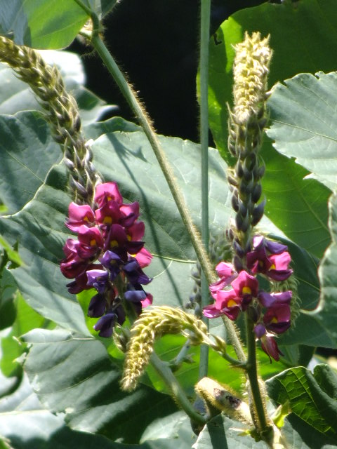 e0145782_1842045.jpg