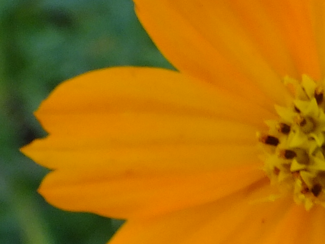 e0145782_1895056.jpg