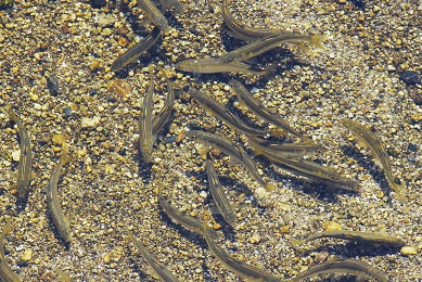 f0069890_20102438.jpg