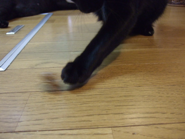 c0150193_16125444.jpg