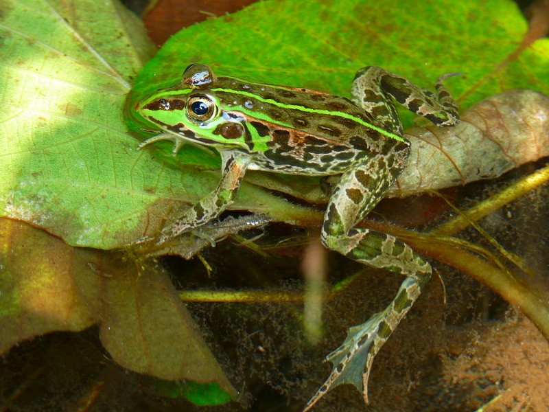 e0202393_1414115.jpg