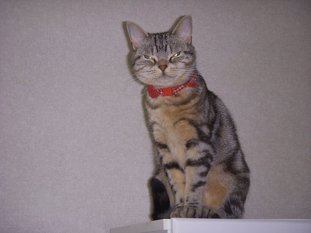 c0187403_15351591.jpg