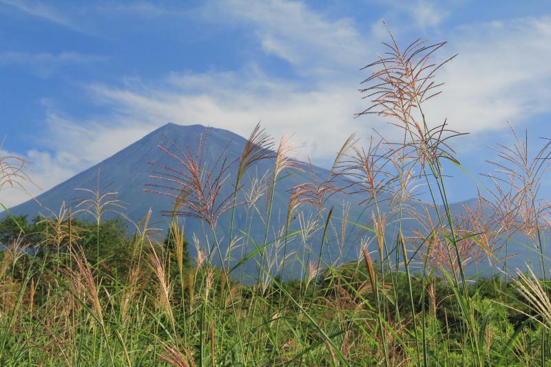 a0188405_17383661.jpg