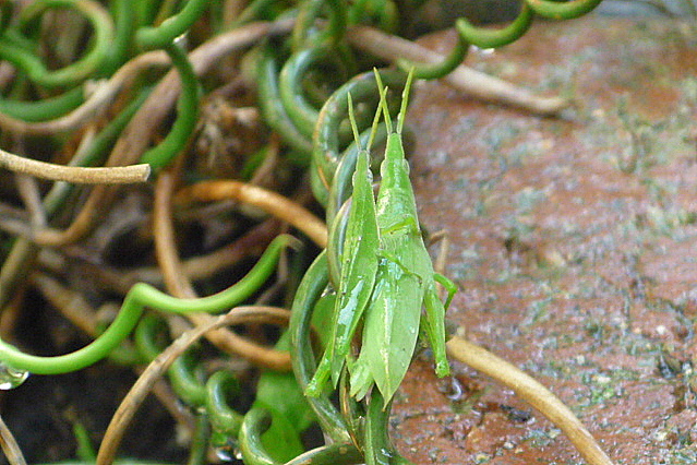 a0214206_85405.jpg