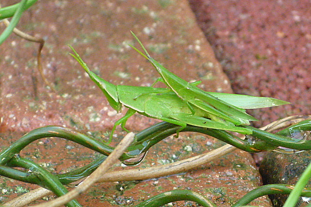 a0214206_8541638.jpg