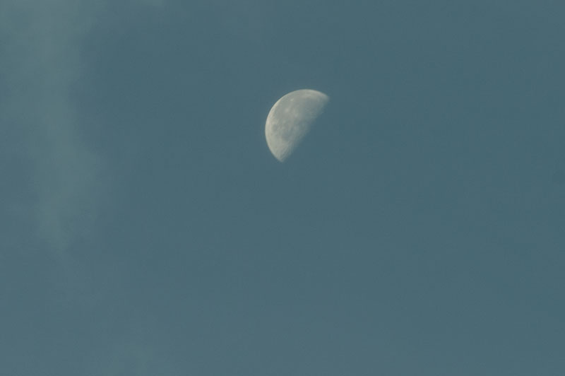 a0278914_1033196.jpg