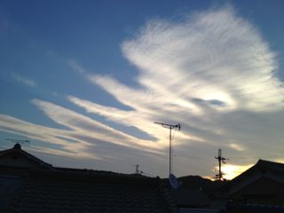 f0086618_7241642.jpg
