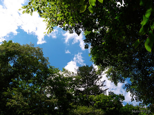 e0112722_1792991.jpg