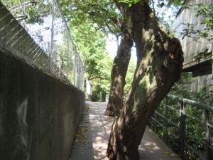 e0002927_2238659.jpg