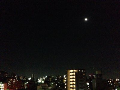 e0081334_1361777.jpg