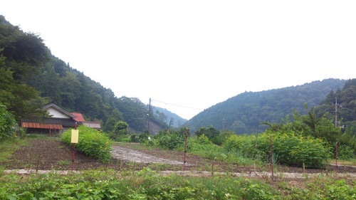 c0300035_10194919.jpg