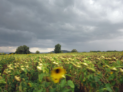 f0234936_6311494.jpg