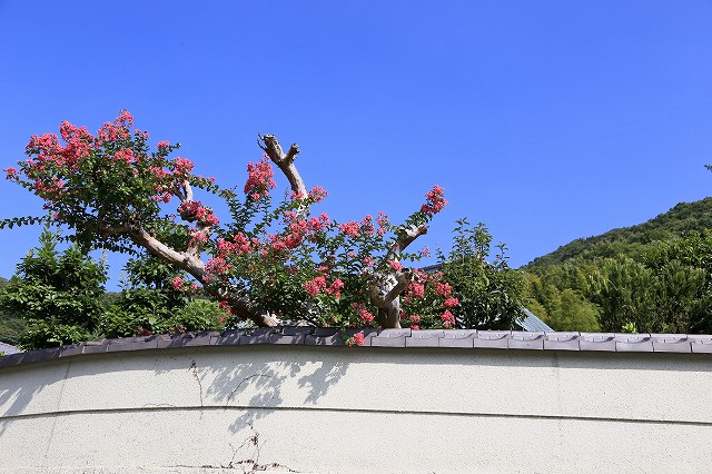 a0242438_19432040.jpg