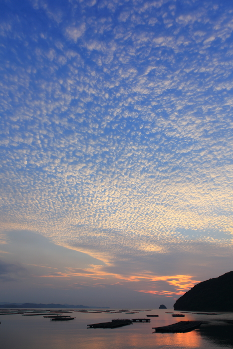c0253439_944348.jpg