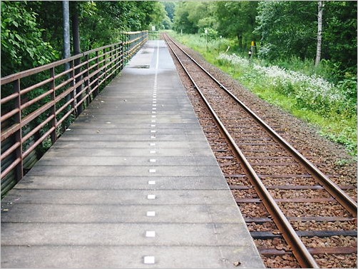 e0022839_2158698.jpg