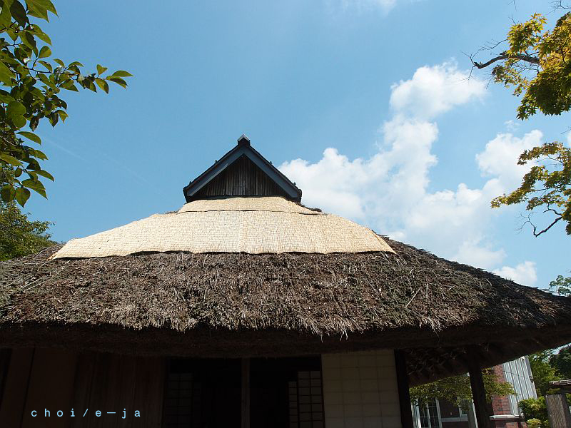 c0243343_20144131.jpg