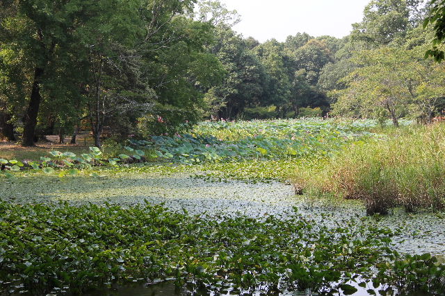 c0011649_0164353.jpg