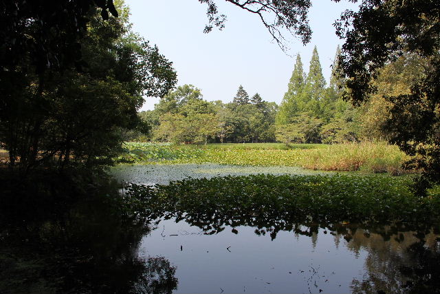 c0011649_017218.jpg