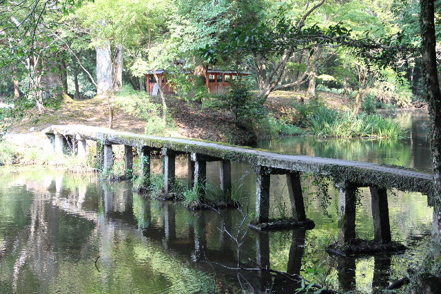 c0011649_0184592.jpg