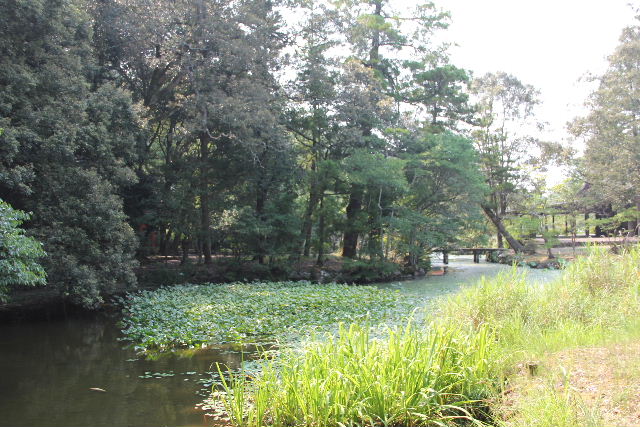 c0011649_019309.jpg