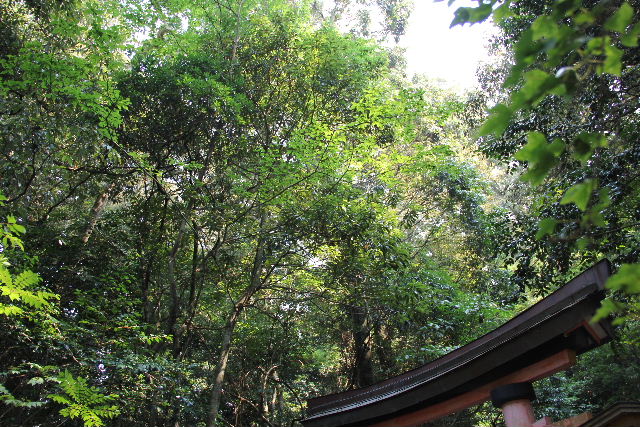 c0011649_23392231.jpg
