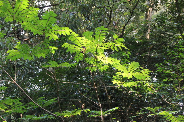 c0011649_23403047.jpg