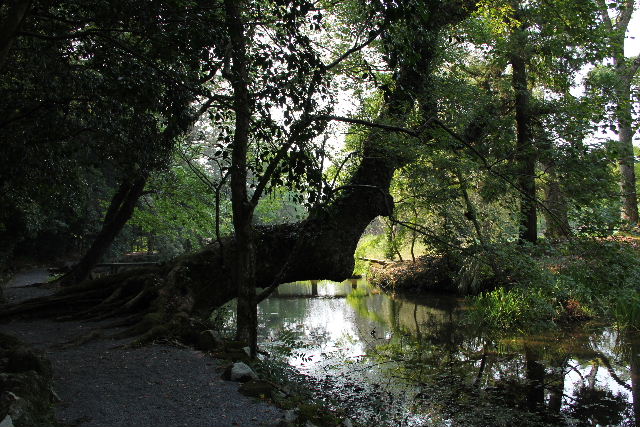 c0011649_23475664.jpg
