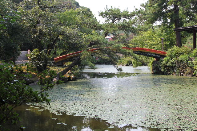 c0011649_738416.jpg