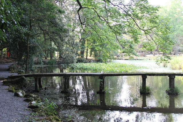 c0011649_7453860.jpg