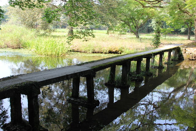 c0011649_746173.jpg