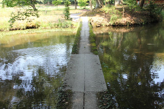 c0011649_746188.jpg