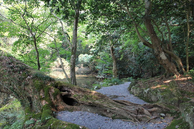 c0011649_7492979.jpg