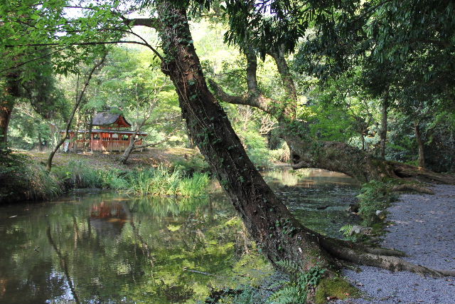 c0011649_749444.jpg