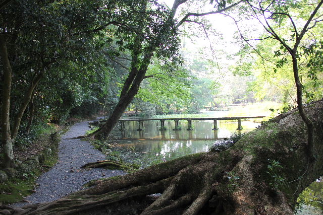 c0011649_750126.jpg