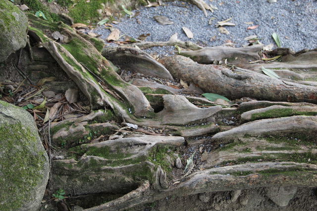 c0011649_7505936.jpg