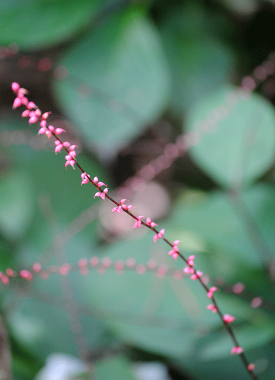 a0001354_2325953.gif