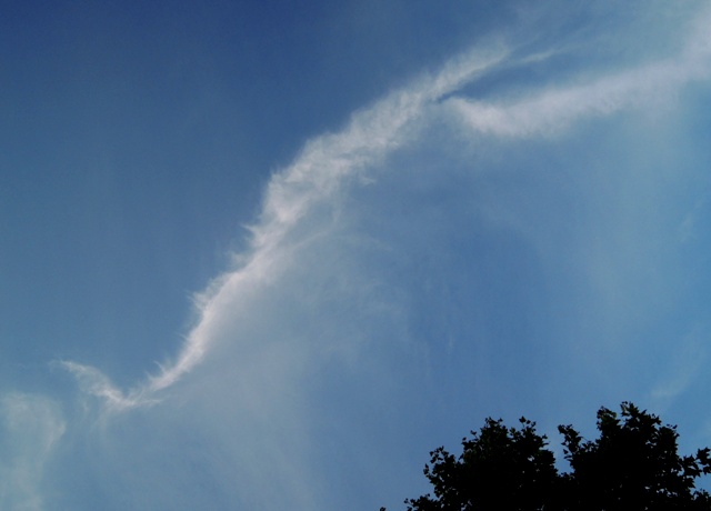 b0173754_14103246.jpg