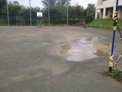 c0185364_5331190.jpg