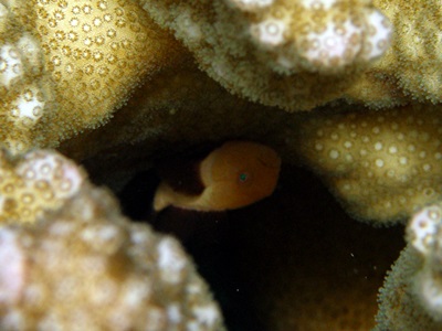 b0033573_1823660.jpg